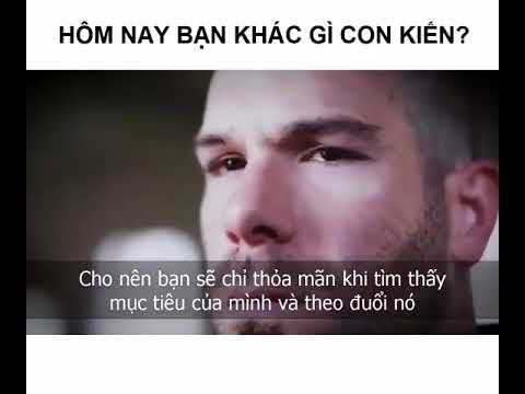 Video Bài học cuộc sống | Video truyền cảm hứng hay nhất - YouTube