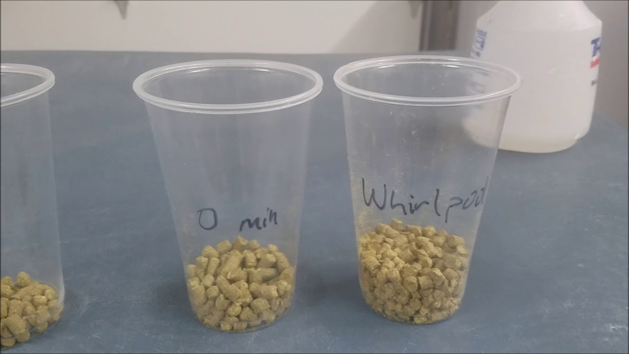 Brewing a New England IPA!