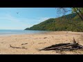 Deserted Beach Ambience - Relaxing Sounds of Waves and Crickets | Tropical Sea Meets the Rainforest