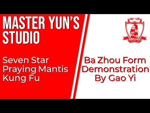 Master Wang Qing Zhai Inherit Festival | Ba Zhou Form Demonstration