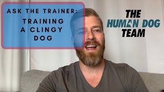 Training a Clingy Dog - Dog Training - Ask the Trainer - The Human Dog Team