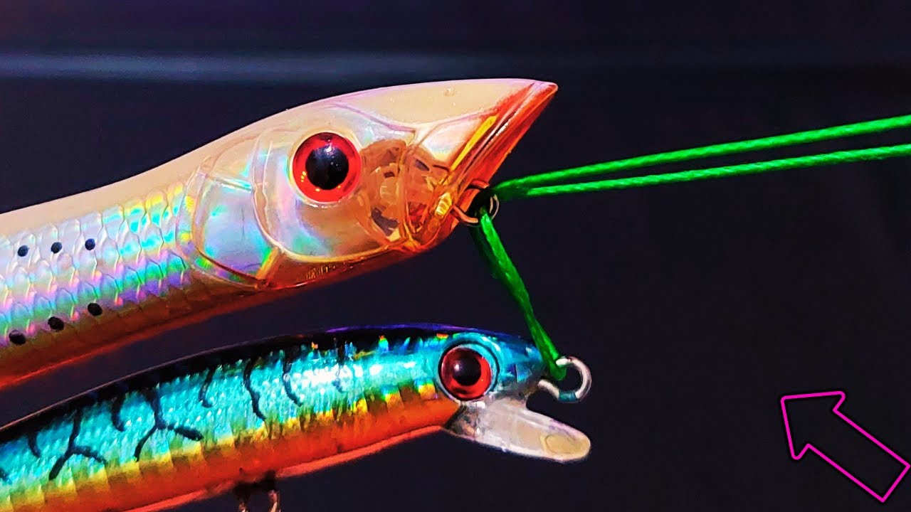 Rapala Knot Lure Knots Lure Fishing For Beginners Fishing