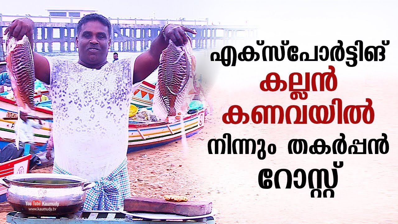 എക്സ്പോർട്ടിങ് കല്ലൻ കണവയിൽ നിന്നും തകർപ്പൻ റോസ്റ്റ് | YUMMY SQUID FRY | Ente Kadal kootu