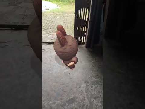 Labubu Regganation Funk Labubu Labooboo 