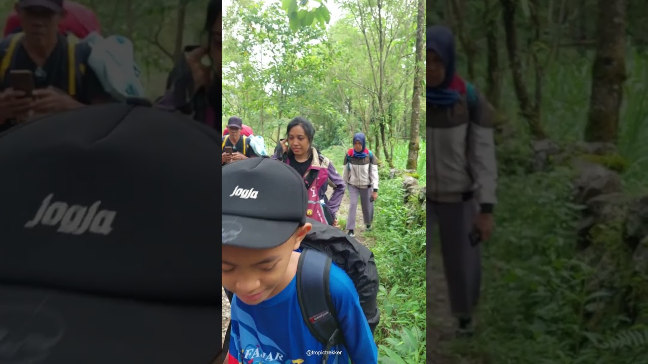 Tropical Hiking Paradise – Discover the Hidden Trails of Nature