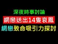 網戀為何容易被騙送出14支iPhone【網戀致命吸引力探討】白同學時事討論網路交友問題