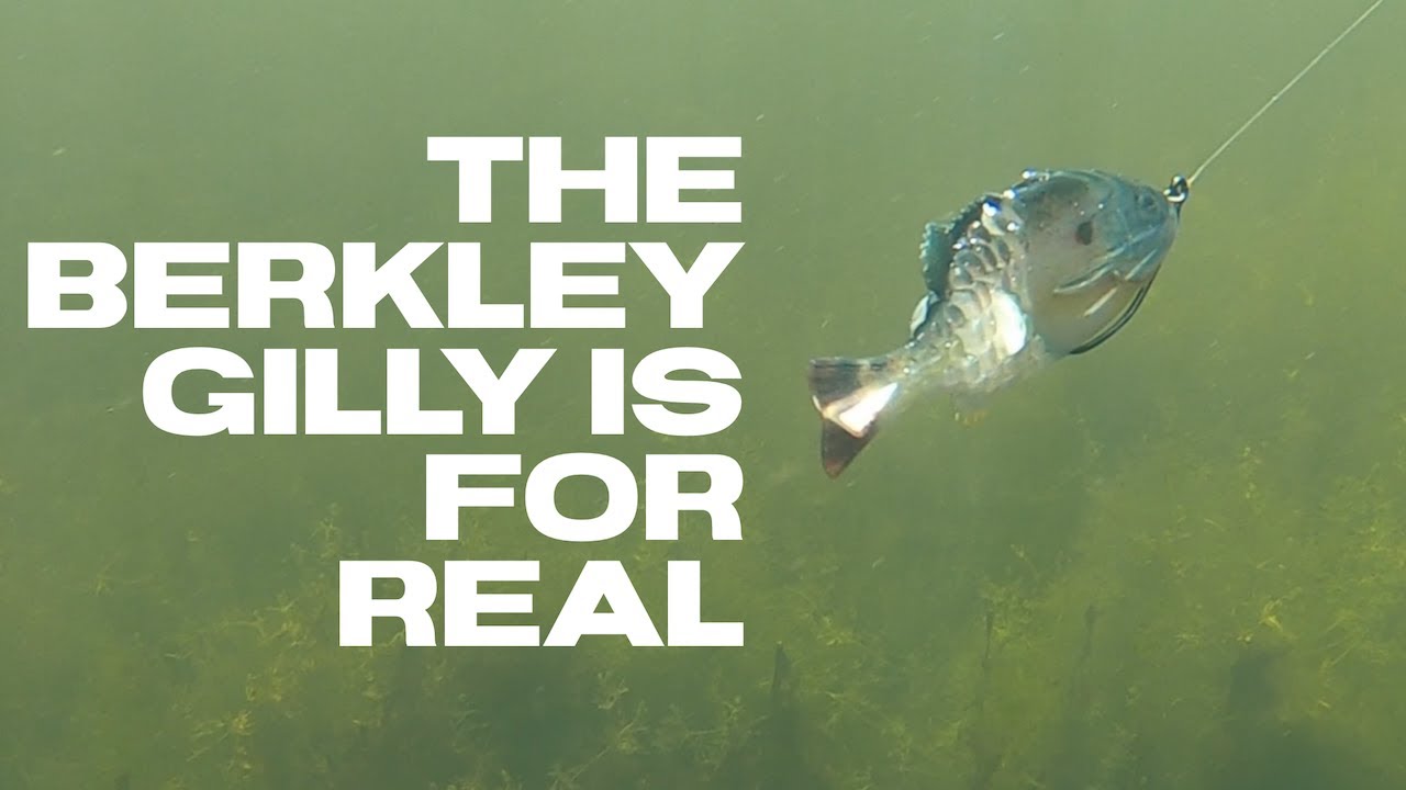 Berkley Powerbait Gilly Swimbait In-Depth with Mike Iaconelli