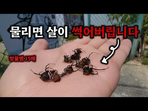 남일이 <strong>아니네요</strong>..
