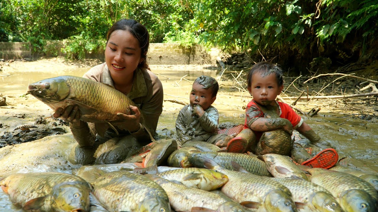 How to catch giant fish in the mud in the hot season with your children