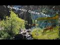 The Forgotten Canyon of Curecanti Creek | A Hidden Colorado Trail