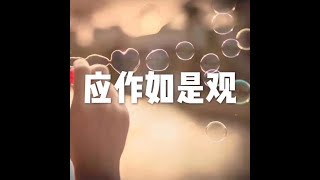 201709 应作如是观23584