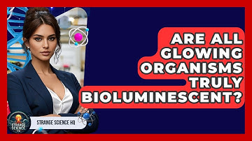 Are All Glowing Organisms Truly Bioluminescent? - Strange Science HQ