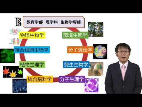 早稲田大学 教育学部理学科 生物学専修紹介 Youtube