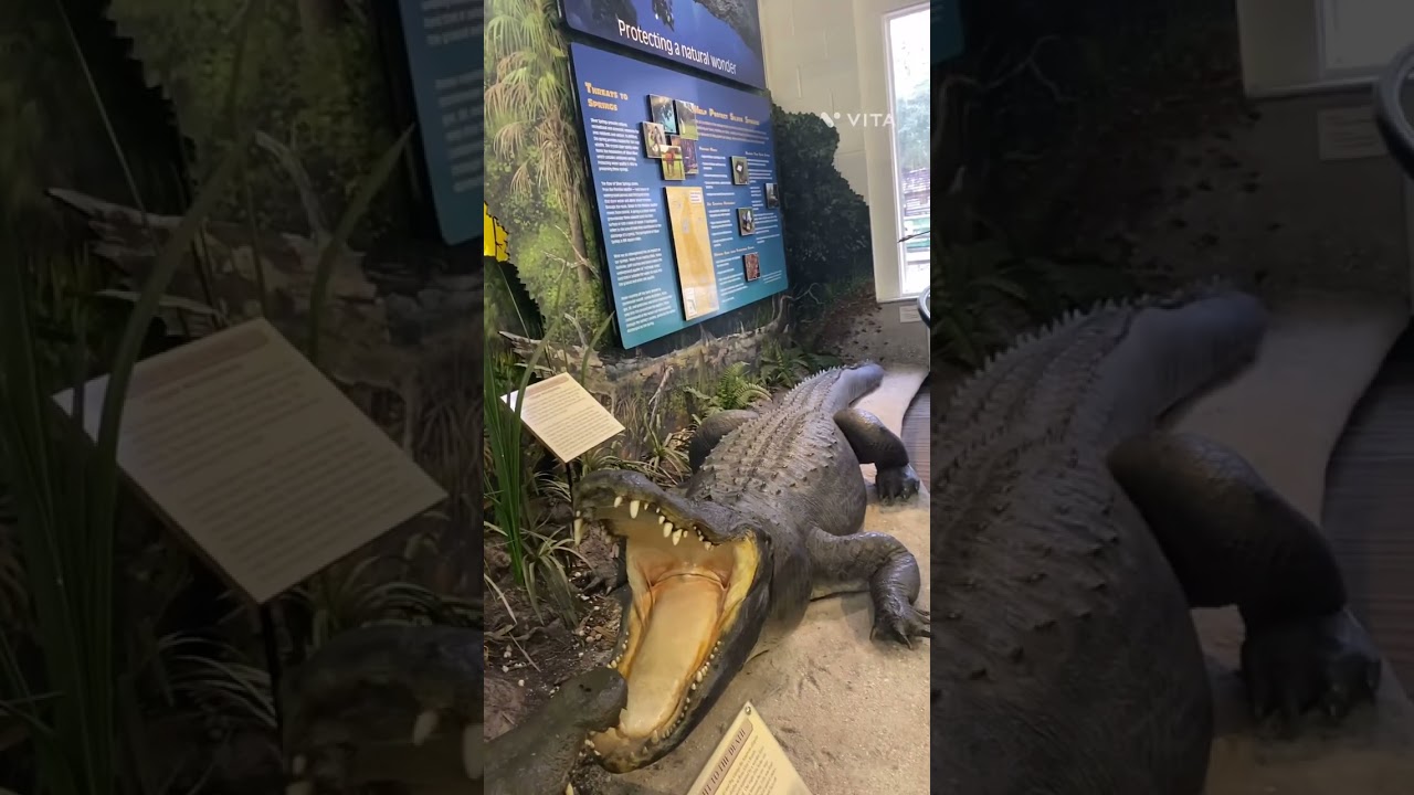 Museum. Silver River Museum & Environmental Education Center, Florida.