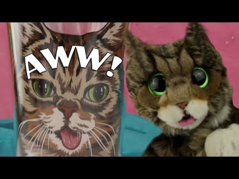 Lil Bub HAUL! - Lil Bub HAUL!