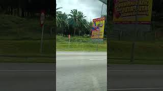 ماليزيا  نخيل بدون تمر ??لشنو تستخدم تابع الفيديو