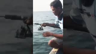 Gemar Mancing Official pulau 1000 #kuwerambe #mancing #p1000 #opentrip #mancingikan #strike