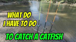 Whatever It Takes to Catch a Catfish on a Livestream