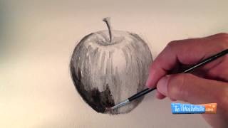 How to Draw with Water-Soluble Graphite