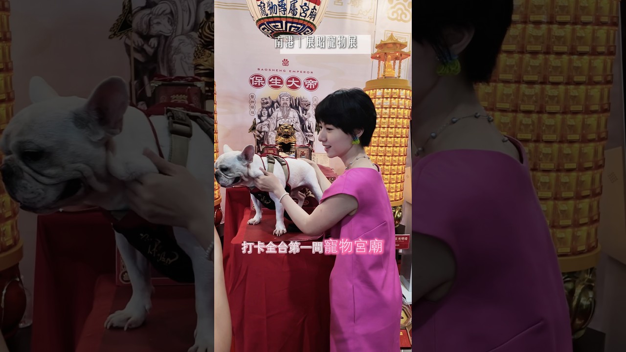 我去台灣的寵物展啦!也太盛大太好逛了吧! #vlog日常 #狗狗 #法鬥 縮圖