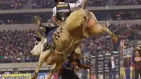 sempre quis ser cowboy