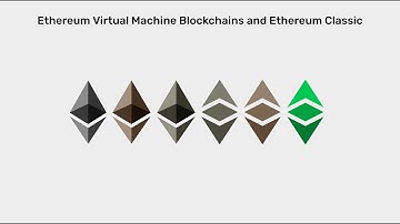 Ethereum Virtual Machine Blockchains and Ethereum Classic