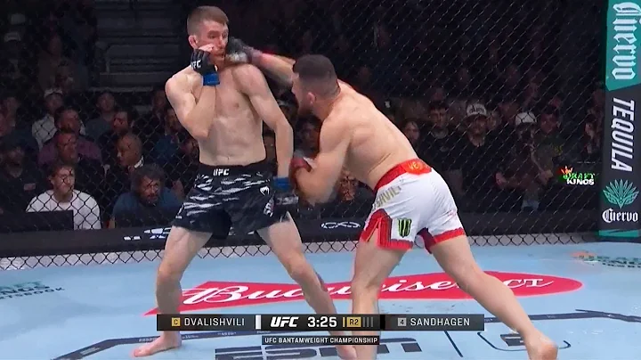 Merab Dvalishvili vs Cory Sandhagen Full Fight Recap UFC 320