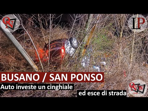 BUSANO / SAN PONSO - Auto investe un cinghiale ed esce di strada