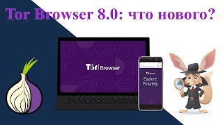 Tor Browser 8.0: что нового?