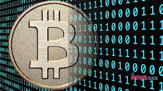 The Bigger Fool Argument Might Explain the Bitcoin Speculative Bubble