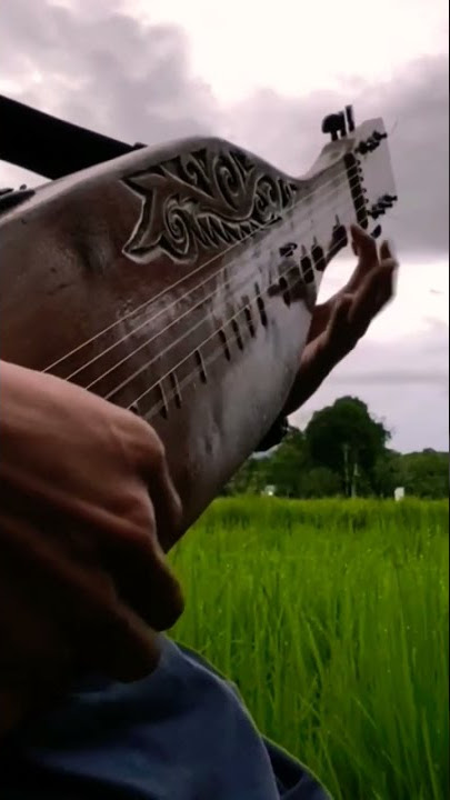 instrumen sape.  #sapedayak #kalimantanbarat