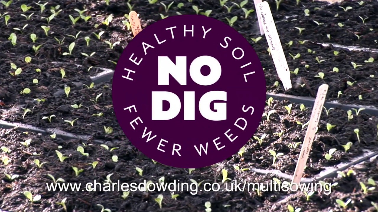 Propagation 2 first sowings in February, germination and multisowing