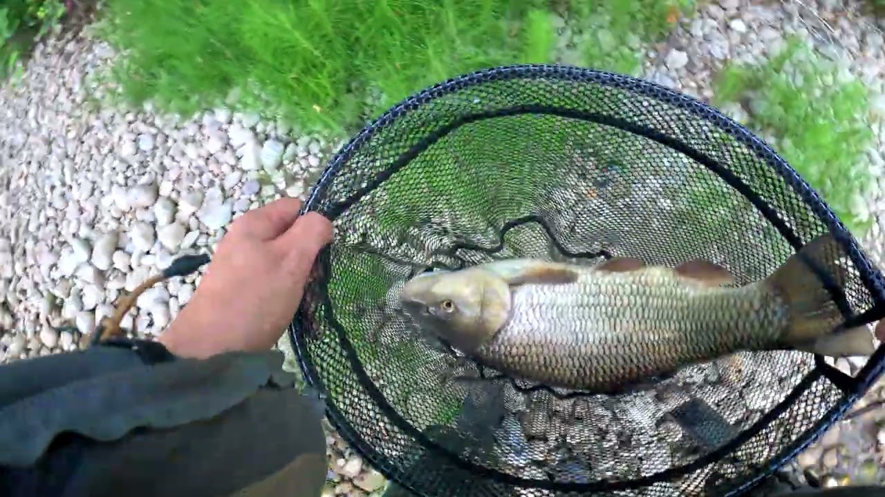 Pescuit clean ep.2 (60 cm)