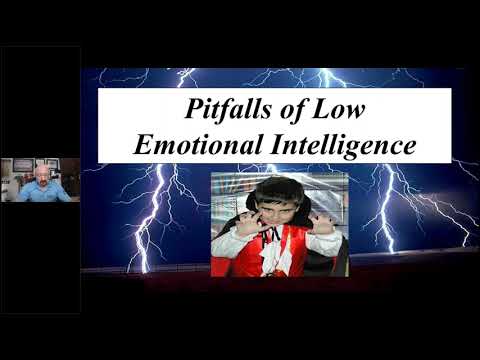 Video: Emotional Intelligence, Part 2: The Five Elements Of Success