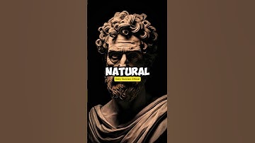 6 Stoic Rules That Will Change Your Life Forever | Daily Stoicism Official