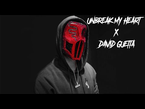 SICKICK Unbreak My Heart Sickmix David Guetta Remix Mashup All I Need Is Some Love Tonight 