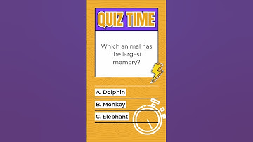 which animal has the largest memory? #foryou #animals #quiz