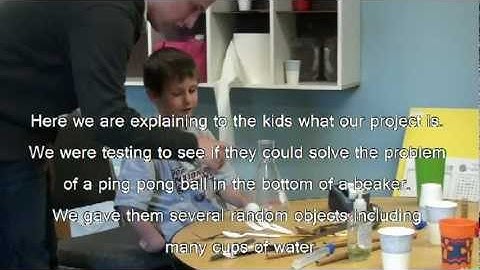 AP Psychology student video: Problem solving