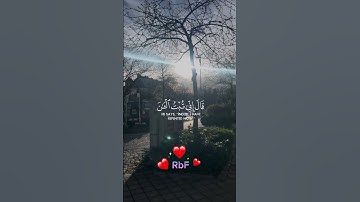 سورة النساء الشيخ ياسر الدوسري #تلاوة_خاشعة#قران_كريم #quran_alkarim #راحة_نفسية #quran #قرآن#foryou