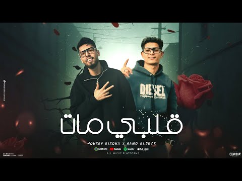 القلب مات ضيعنا عليكم كتير يوسف السونه حمو الجيزر توزيع حريقه البركان مهرجانات 2025