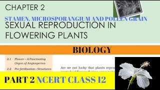 Iss video mee apko line by ncert book ka explanation milega jisme haam
stamen, microsporangium and pollen grain ko study karenge...thanks for
watching. ...