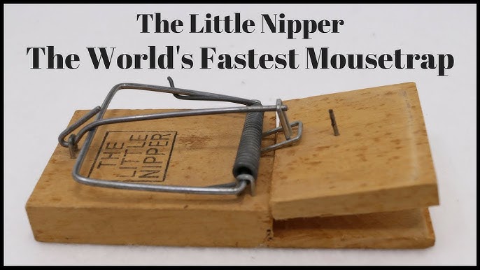 The Flipper Dome Mouse Trap Vs. The Flip & Slide. Mousetrap Monday