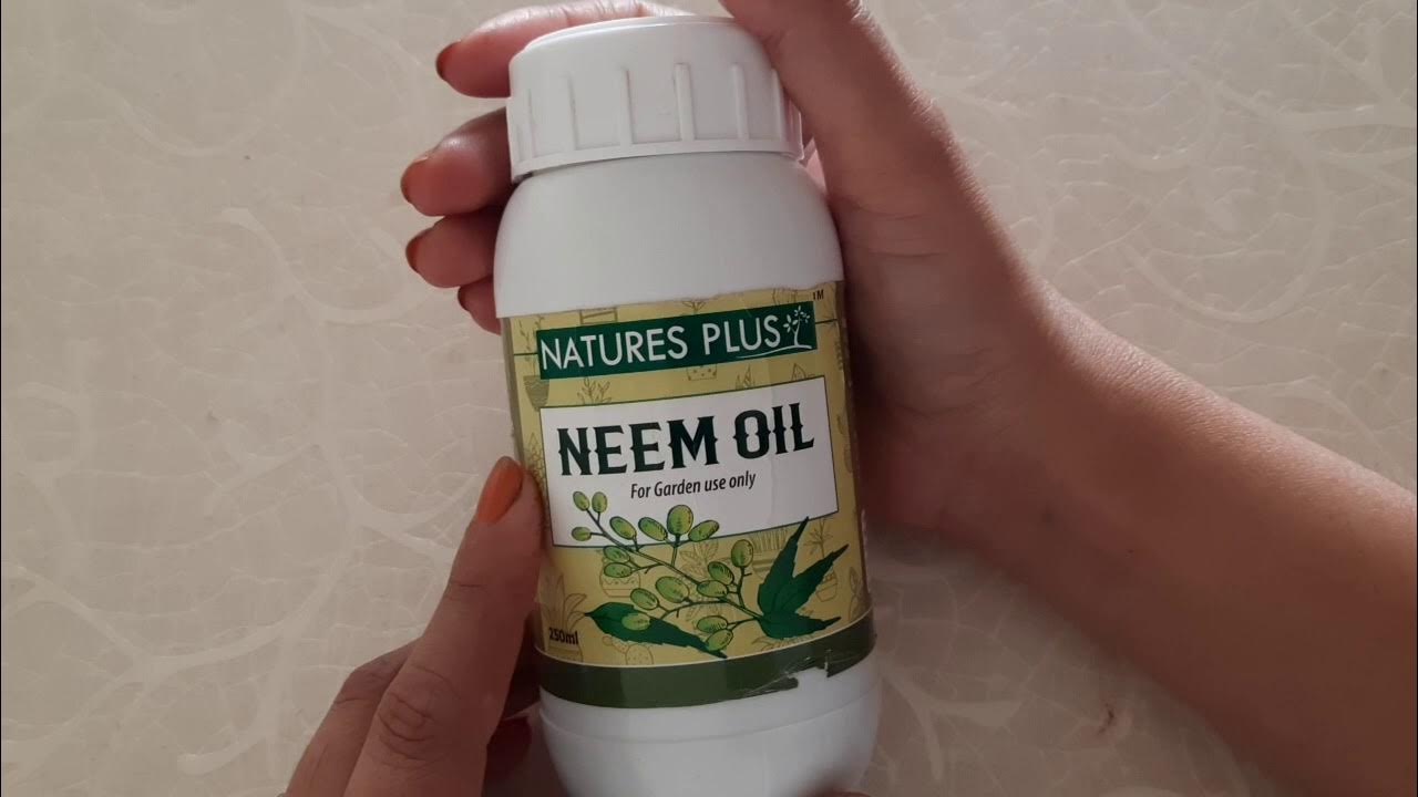 Natures Plus neem oil review for mealybugs disinfestation YouTube