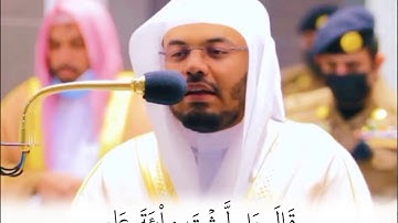 ألم تري إلي الذي حاج إبراهيم في ربه | سورة البقرة - ياسر الدوسري | حالات واتساب قرآن 💙