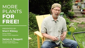 How to Propagate Hostas the Easy Way | Garden Hack for Dividing Hostas #hostas #gardentips