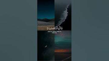 وما خلقت الجن والانس الا ليعبدون... | #القارئ_محمد_البارقي