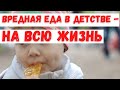 Вредное питание в детстве оказывает негативное влияние на организм на всю жизнь