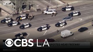 A Man With A Rifle At The 105 Freeway South Los Angeles Overp Is In Custody
