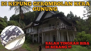 VILLA PUTIH KALIURANG DI LERENG GUNUNG MERAPI - YOGYAKARTA