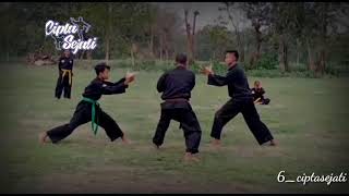 Pesilat bisa lelah, tapi pesilat tidak akan menyerah | video status wa cipta sejati#